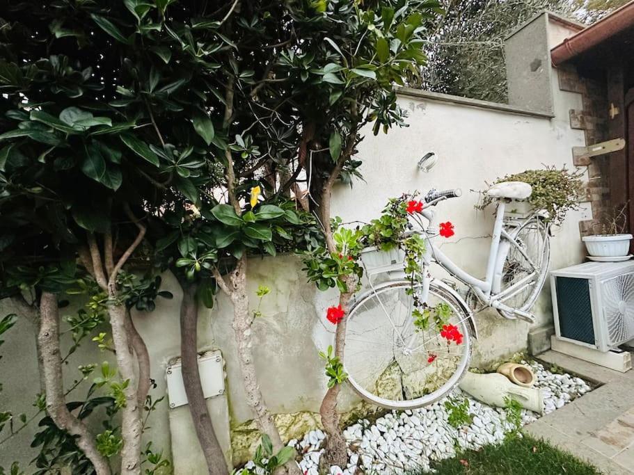 Marina di CerveteriFontana House别墅 外观 照片