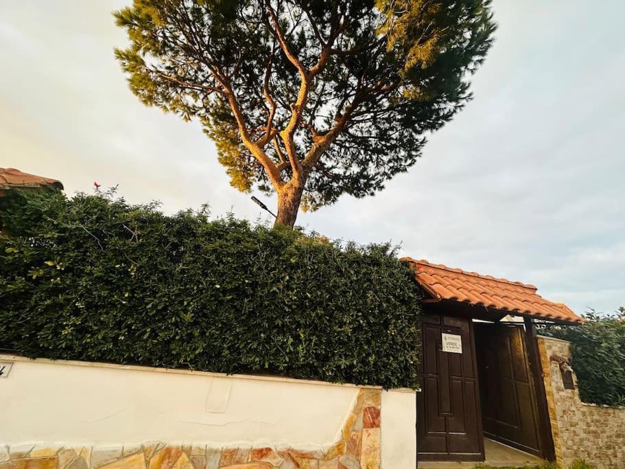 Marina di CerveteriFontana House别墅 外观 照片